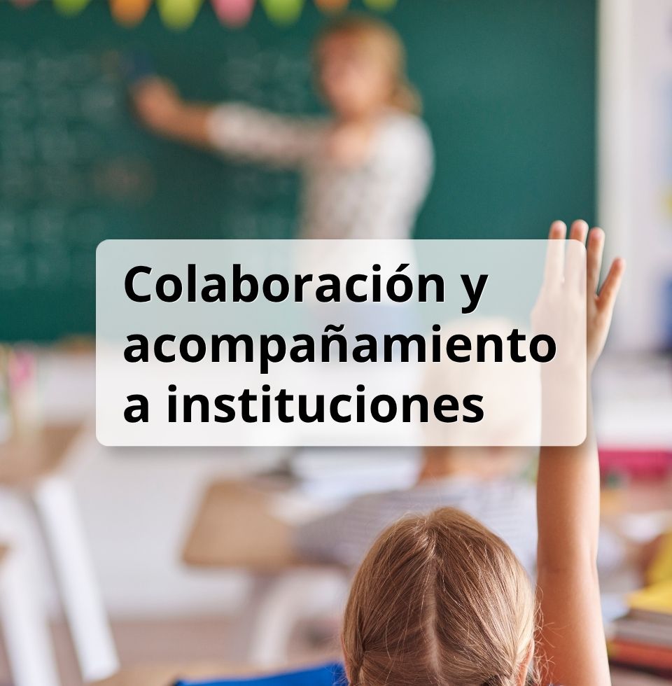 Colaboración y acompañamiento a instituciones.