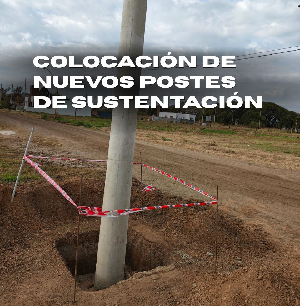 Colocación de nuevos postes de sustentación.